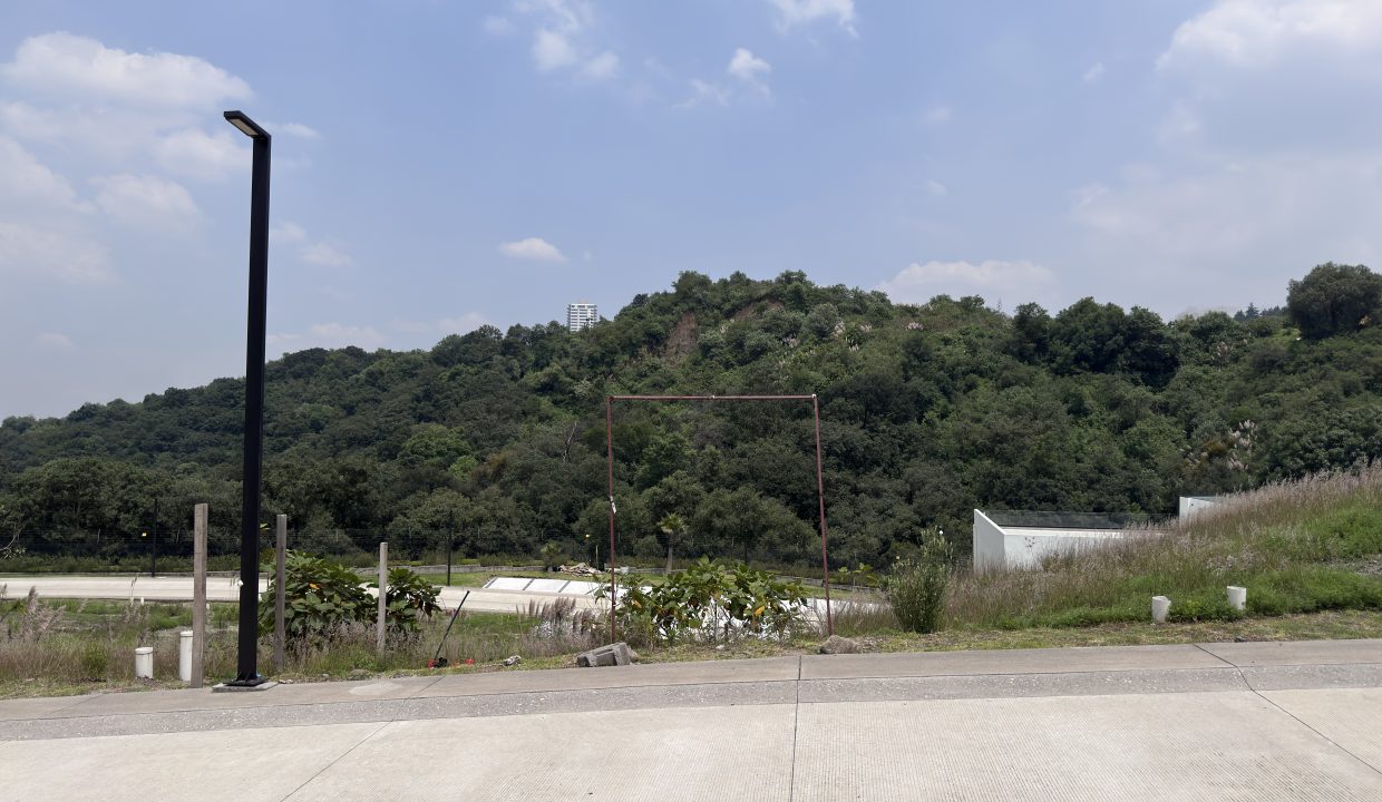 Bosque de Ambar_Bosque Real_Lote4-47_6