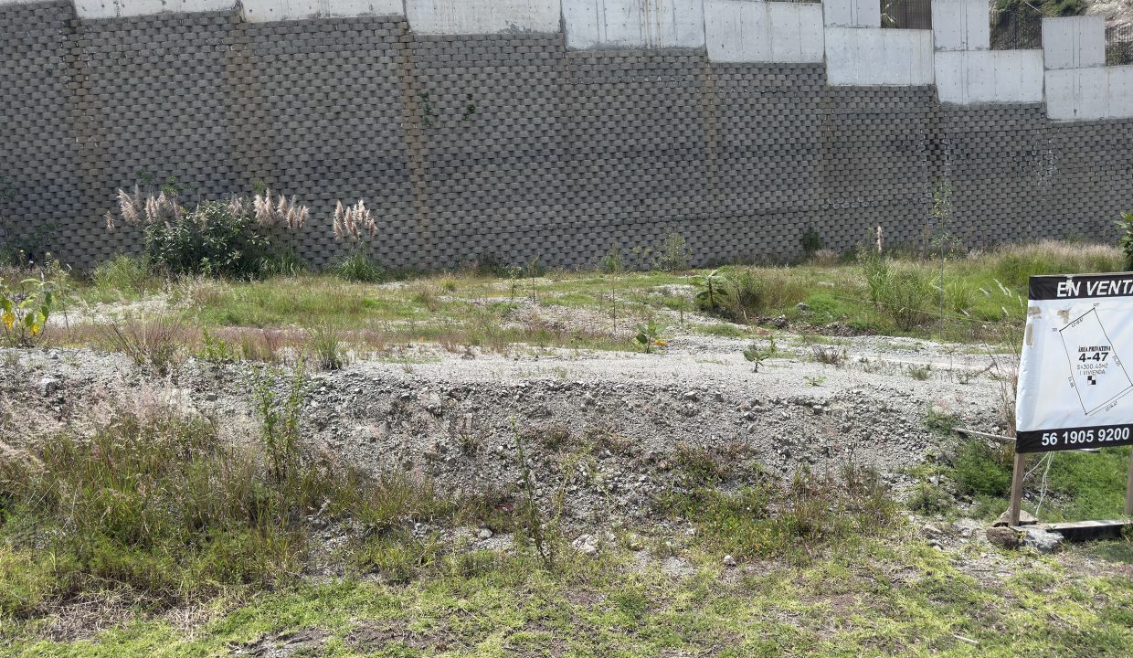 Bosque_Real_Bosque_Ambar_4-47_3