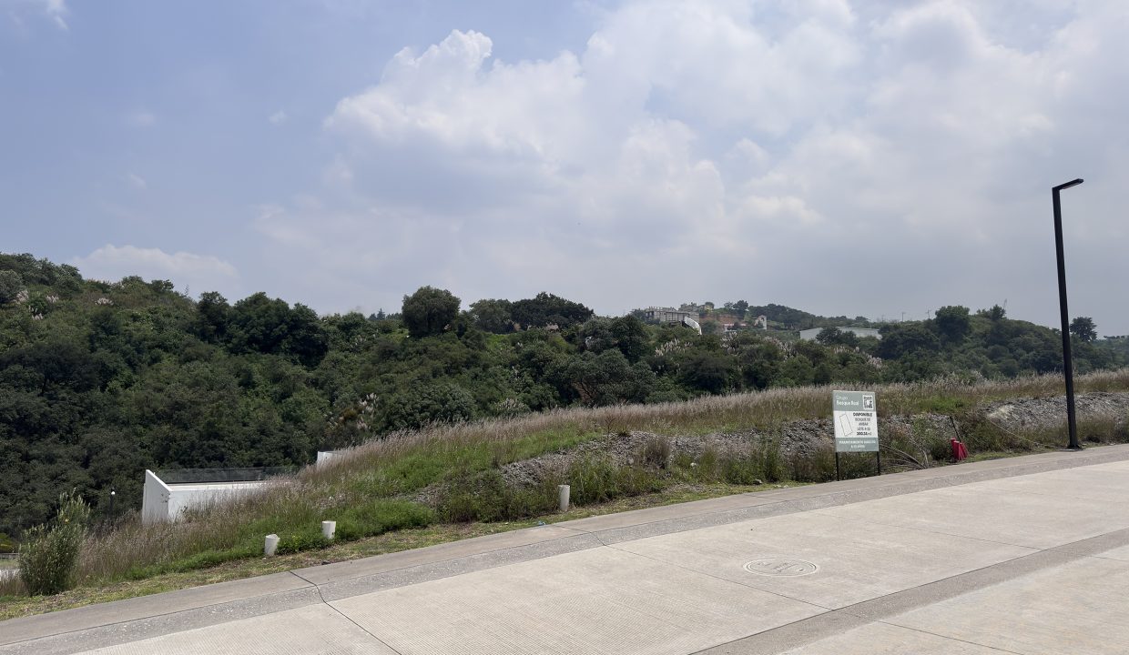 Bosque_Real_Bosque_Ambar_4-47_7