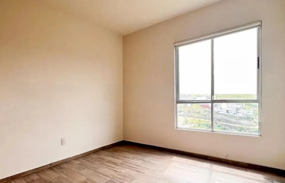 1629391612.jpg
