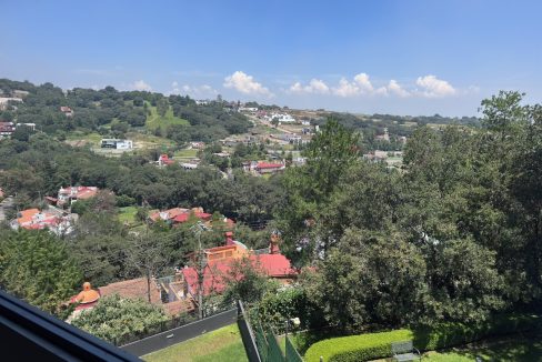 IMG_0794