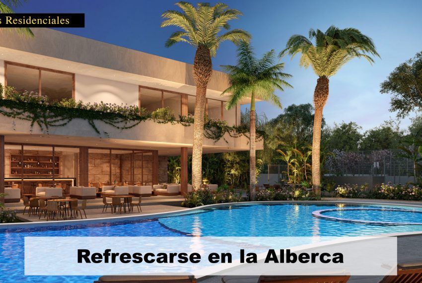 Render (4)