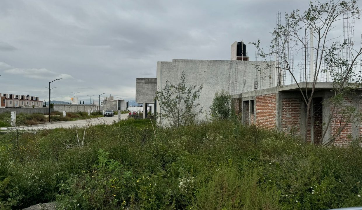 PHOTO-2026-07-22-19-42-59