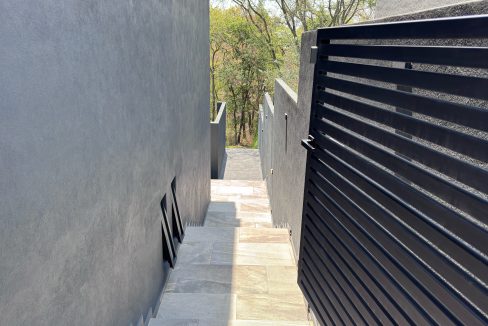 IMG_8655