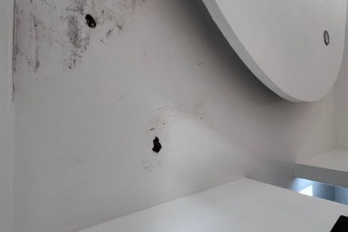 IMG_0655