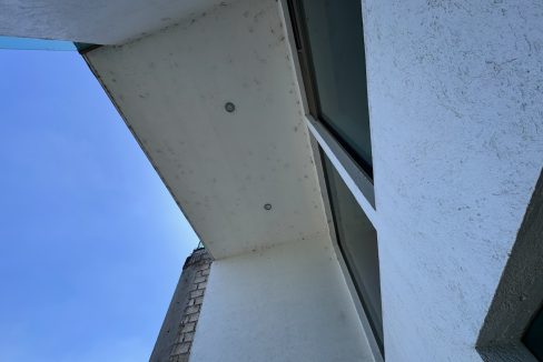 IMG_0693